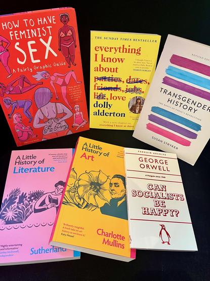 Photo des livres suivants :
How to have feminist sex de F. Perry
Everything I know about love de D. Alderton
Transgender History de S. Stryker
A little history of Literature de Sutherland
A little history of art de C. Mullins
Can socialists be happy? de G. Orwell