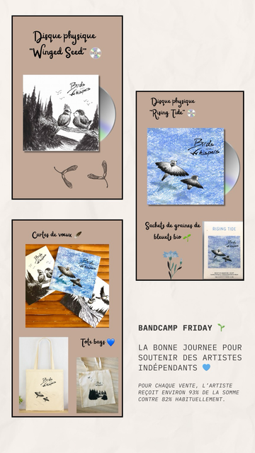 Affiche pour le bandcamp Friday avec les différents disques et marchandises (sachets de graines, cartes, tote bag) 