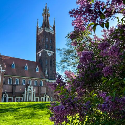 Frühling im Wörlitzer Park