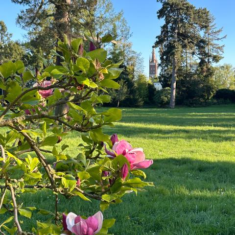 Frühling im Wörlitzer Park