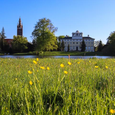 Frühling im Wörlitzer Park
