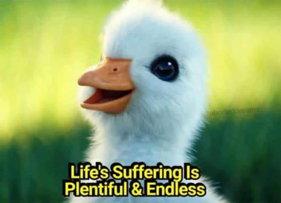 Cutest gosling

life's suffering is plentiful and endless