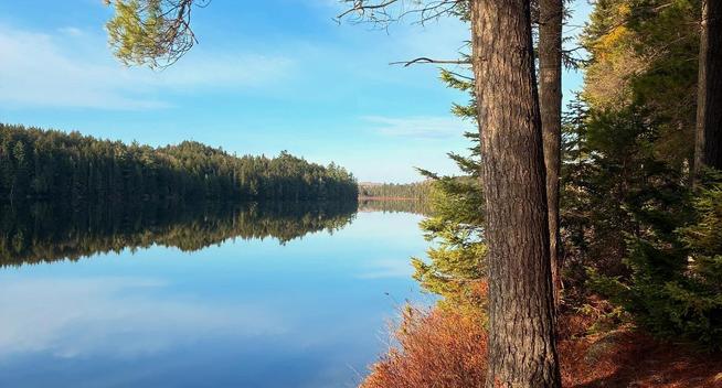 calm lake with trees in foreground 