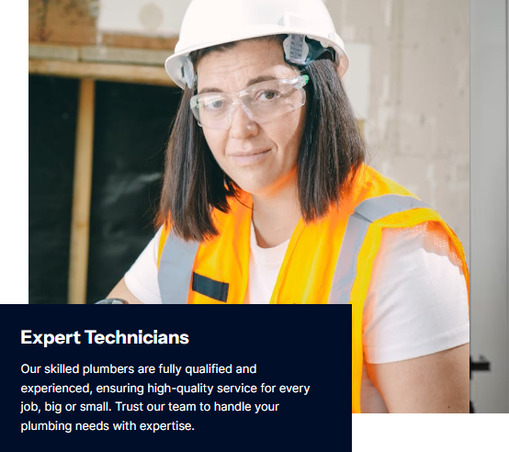 Web page aimed at export technicians, offering support and specialized information.