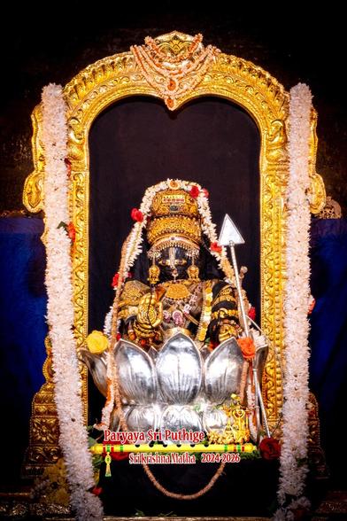 Idol of Hindu deity Krishna seated low inside a silver lotus flower. Three petals fully visible in the front; a petal on either side partly visible. Krishna holds a solver arrow in left hand and wears a gold crown and many gold ornaments. Ornate gold arch around Krishna. A long white flower garland in U shape from the top of the arch all the way down to the floor. The bottom of the floor/garland is not visible. 