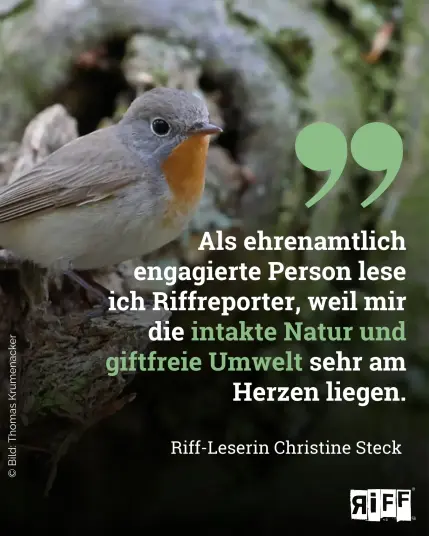 Ein Rotkehlchen sitzt auf einem Ast. Dazu das Zitat von einer Leserin „Als ehrenamtlich engagierte Person lese ich Riffreporter, weil mir die intakte Natur und giftfreie Umwelt sehr am Herzen liegen.“