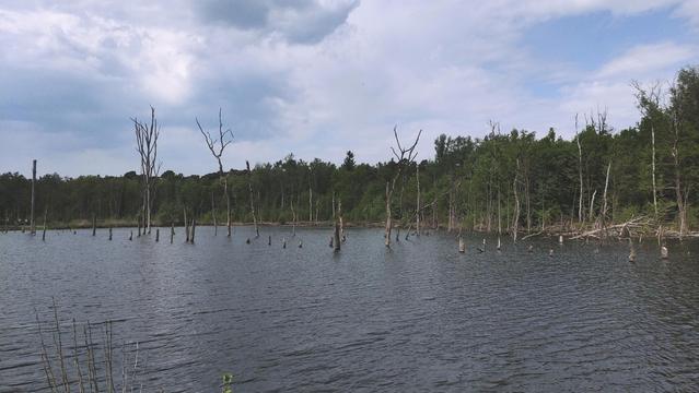Blick auf den Pfingstsee