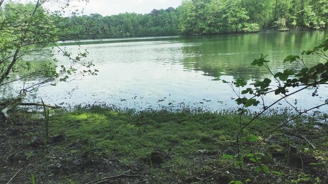 Blick auf den Heidesee