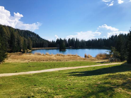 An open space surrounded by trees with a lake in the middle