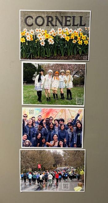 Four prints stuck directly onto a brownish-grey door,  all landscape oriented and slightly cut down from letter-sized paper.  From top to bottom:

Daffodils in from of a CORNELL sign

Five cosplayers with white jackets over muted color dresses with dark socks of varying lengths and bow ties on grassy lawn in front of sakura tree

20 or so people wearing denim jackets in front of variously dyed fabric panels

A large pack of runners running away from me

All picture have a QR code alpha blended …