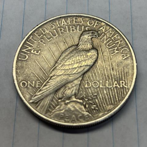 The reverse features a bald eagle standing majestically on a rock labeled PEACE. He is holding an olive branch in his talons. The rays of the sun come across behind him from the lower right to the upper left. The words UNITED STATES OF AMERICA hug the top of the coin with E. PLURIBUS UNUM beneath them.