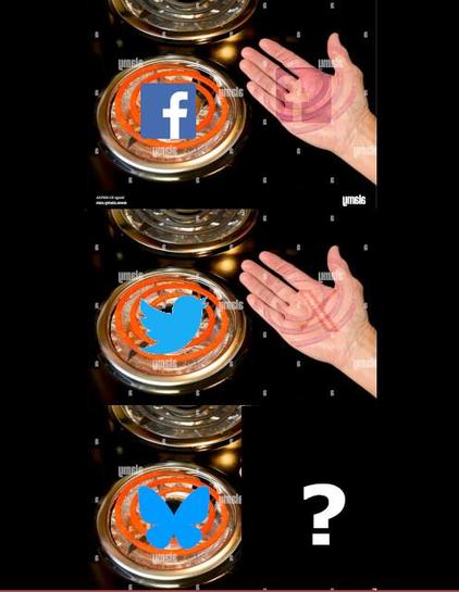frame one, hand is burned touching electric hob with facebook logo. Frame two, hand is burned touching electric hob with twitter logo (hand has 'X' burned into it), frame three an electric hob with the bluesky logo is shown, with a question mark adjacent