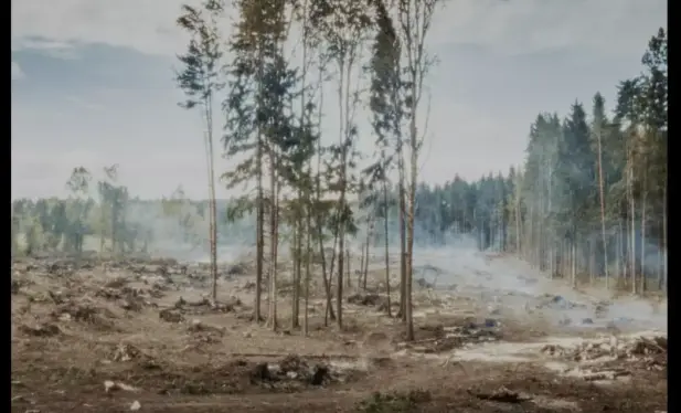 Un chantier de coupe rase : «  Après arrachage des arbres, on voit bien qu’il ne reste rien… un désert  ! 