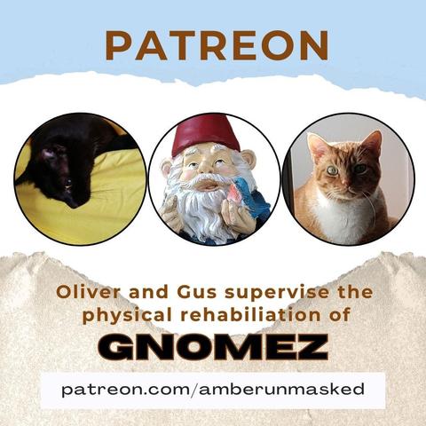 banner across the top looks like torn blue paper with text "Patreon post"
3 circular images: black cat Gus hanging his head over the side of a bed; photo of a garden gnome statue; orange and white cat Oliver sitting inside in a sun patch. 
Text: Oliver and Gus supervise the physical rehabilitation of GNOMEZ.
(bold). patreon.com/amberunmasked