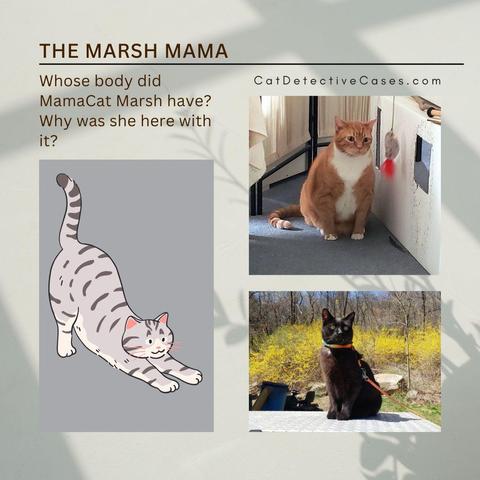 Headline: The Marsh Mama
Summary: "Whose body did MamaCat Marsh have? Why was she here with it? CatDetectiveCases.com"
Vertical photo on left: Canva illustration of a grey tabby stretching.
Top right: orange tabby Oliver sitting on the floor next to his office fort.
Bottom right: black cat Gus sitting tall outside on top of a silver chest with bright yellow flowers in the background.