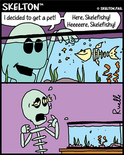 Skelton gets a pet skelefish, it ends up out of the aquarium and between his eye sockets.