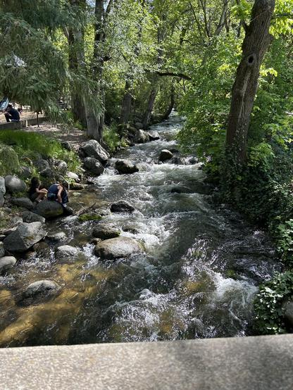 picture of Ashland Creek, Lithia Park, Ashland OR, US