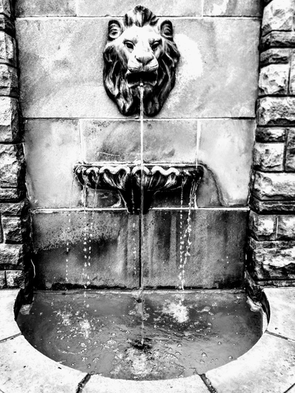 Black and white photo of a fountain with a lion head.