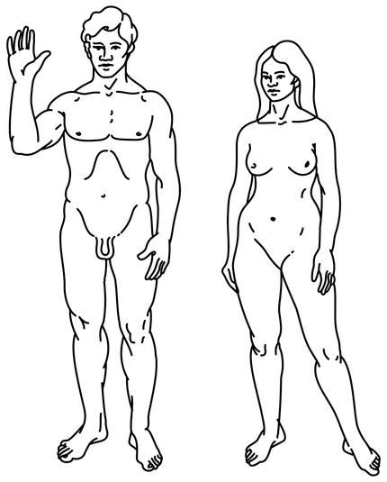 Image of Homo sapiens, the taxon in which the compound is found.