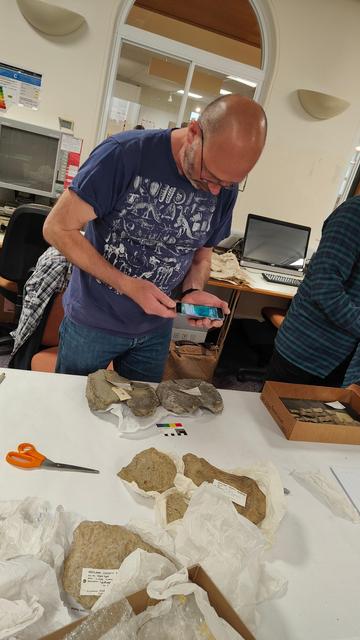 Palaeontogist Dr Mark Evans examines the left and right coracoids from an ichthyosaur.
