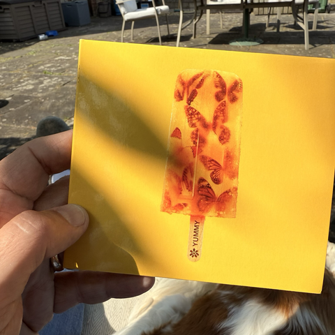 James Yummy album cover of a lollipop with embedded butterfly’s