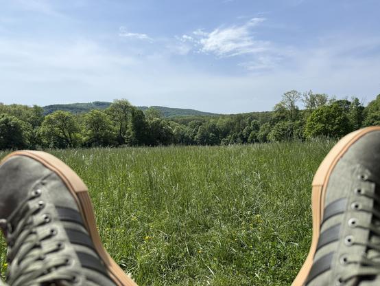 A pair of green sneakers is in the foreground, resting on a grassy area. The background features a lush green meadow with trees and a distant hill under a clear blue sky.