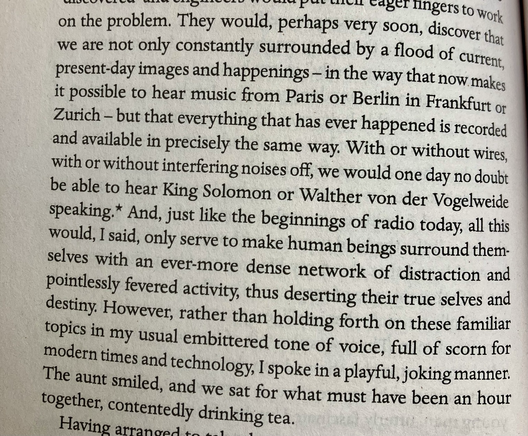 Extract from Steppenwolf