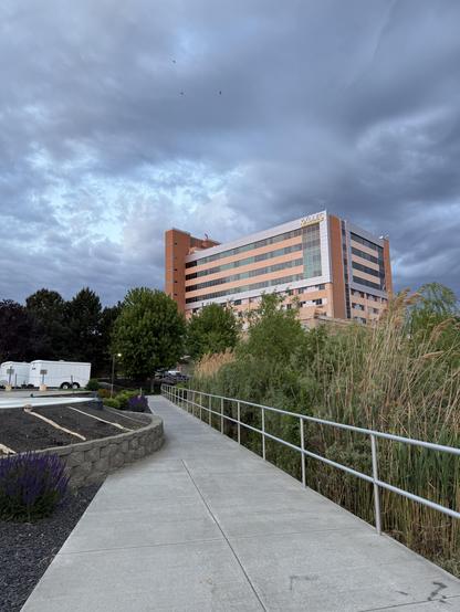 A large hospital seen in the distance over a paved path beside a creek covered in tall plants
