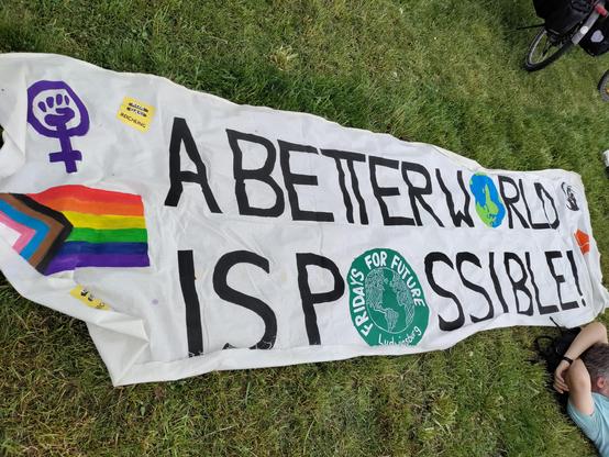 Transparent mit feministische und queere Symbole sowie ein Fridays for future logo, text: "A better world is possible"