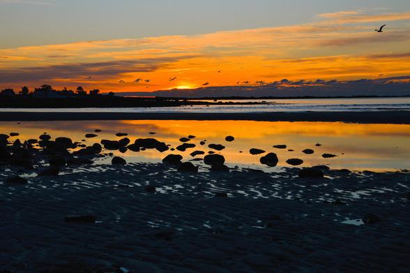 Halloween Sunrise

Last year on Halloween 2022, I caught one of the most amazing sunrises I ever saw at Parsons Beach in Kennebunk, Maine. I figured I'd give it a go again this year. After doing the math, my odds to seeing another sunrise like last year were slim to none. Well, I gambled, and it paid off. It wasn't quite as nice, but I'll take seventy five percent.