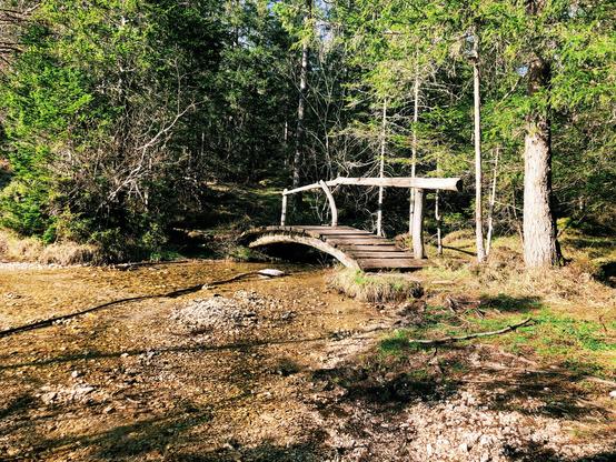 A tiny wooden bridge over a stream along a trail in the woods
