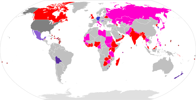 Map of the world showing all the countries with first past the post voting systems with different colors. And the US has its own colour all by itself. 
(Indicating that FPTP is decided by states — which I think means a few offices in Alaska aren’t FPTP)