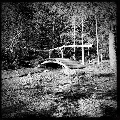 Un piccolo ponte in legno sopra ad un ruscello lungo un sentiero nel bosco