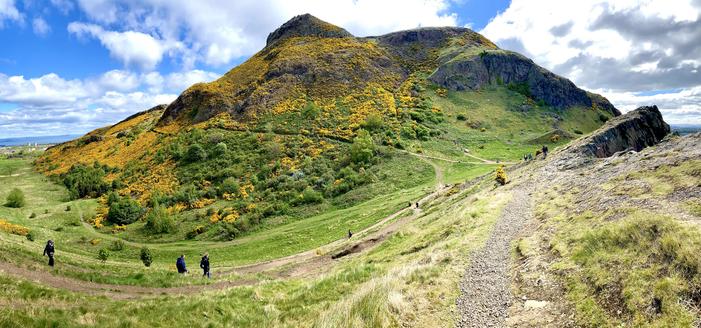 Arthur’s Seat, an extinct volcano, sprinkled with yellow gorse flowers. People are walking on trails that curve up to the edge of the Salisbury Crags, a steep cliff created by magma subduction.
