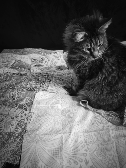 Black and white photography of a fluffy tabby cat sitting on dinosaur fabric.