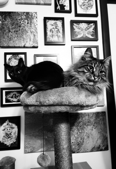 a black and white photo of a black cat and a tabby cat sitting in a cat tree perch.