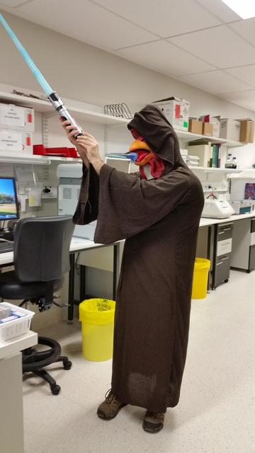 In a brightly lit biosecurity level 2 (BSL2) microbiology laboratory, I stand out against the backdrop of white countertops, shelves lined with lab equipment, and pops of colour from red trays and a vivid yellow clinical waste bin. 


I am dressed in a dramatic, floor-length Jedi robe of deep brown, its wide sleeves draping over my arms. Facing side on to the camera and completing the ensemble, I wear a comically oversized rooster mask, its orange beak and red comb boldly jutting out, feathers painted in lively hues. 


In my hands, I grip a glowing blue lightsaber, holding it pointed towards the left of screen in a classic Star Wars pose.


The playful fusion of Star Wars Day and International Respect For Chickens Day is unmistakable-your costume humorously bridges science fiction and animal advocacy, bringing a sense of fun and celebration into the serious, orderly environment of the laboratory. 


The scene is both whimsical and memorable, with my creative outfit injecting joy and personality into the sterile lab setting.