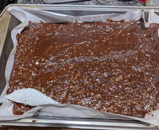 Raw brownies with some extra coconut sitting in a 9 by 13 pan lined with parchment paper