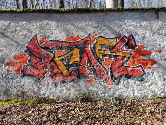 Graff signature sur un mur de Vandœuvre-lès-Nancy, derrière le mur on distingue quelques arbres, au sol des feuilles mortes