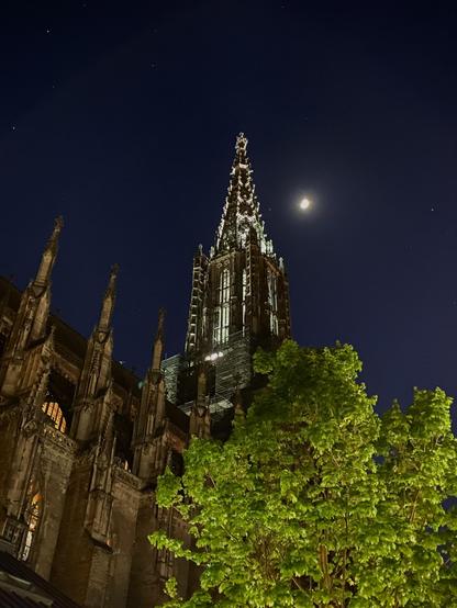 Nachtaufnahme Teil eines gotischen Kirchenschiffs mit Fialen und hoher, spitzer Kirchturm. Durchbrochene Wände und Dach des Turms von innen beleuchtet. Dunkelblauer Himmel mit Sternen und Mondsichel. Im Vordergrund beleuchteter, grüner Laubbaum