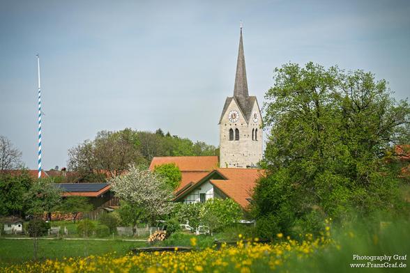 A picturesque scene of a building with a clock tower set against a backdrop of lush greenery. The dominant colors of white and green create a serene atmosphere. The image features a tall tower in the center, surrounded by trees with many leaves. The architecture resembles a church, adding a touch of religious significance to the scene. The sky above is clear, suggesting a pleasant day. In the foreground, a field of yellow flowers adds a pop of color to the overall composition. This tranquil landscape captures the essence of a peaceful countryside setting.