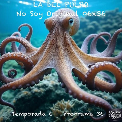 LA DEL PULPO | 06x36
‘Está cayendo la del pulpo’ se suele usar para referirse a la acción de estar lloviendo con gran virulencia o torrencialmente, aunque también hay quien la utiliza para señalar que a alguien le va a caer una buena bronca e incluso una paliza (‘le va a caer la del pulpo’). En realidad en sus orígenes la expresión “la del pulpo” se refería a la paliza que recibía el animal para hacerlo apto a la ingesta. Pero no vamos a hablar de gastronomía ni de las mejores formas de preparar tan exquisito plato, sino que hablaremos de las características que tiene este animal y de su sorprendente relación que tiene su constitución para pensar que con sus nueve cerebros sea un animal inteligente.
https://luisbermejo.com/la-del-pulpo-06x36/
#análisis #cefalópodos #cerebro #ciencia #cine #cónclave #crítica #ficción #futuro #imaginación #investigación #literatura #neurociencia #neuronas #objetivos #obsesión #predicciones #pulpo #realidad #reseña #zoología #podcast #NoSoyOriginal 
