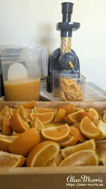 Oranges are ready to be put in a juicing machine.