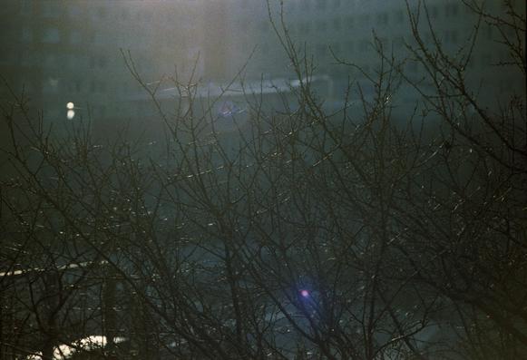 The image depicts a scene viewed through a foreground of bare tree branches, creating a silhouette effect. The branches are thin and intricate, with a dark, almost black color, contrasting against a dimly lit background. The background is shrouded in a misty or foggy atmosphere, with a soft, diffused light source creating a hazy effect. The light appears to be coming from the upper left corner, casting a subtle glow on the branches and the background. There are faint reflections of light, possibly from street lamps or other sources, visible in the background, adding to the atmospheric quality of the scene. The overall color palette is muted, with shades of gray and blue, contributing to a somber and tranquil mood. The image has a vintage or film-like quality, with a slight graininess and a vignette effect around the edges.