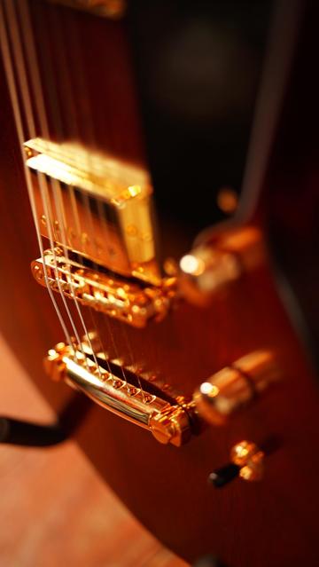 Künstlerisches Detailfoto einer dunkelbraunen E-Gitarre mit goldener Hardware. Es ist der untere Teil des Korpusses zu sehen mit einem Tonabnehmer, dem Saitenhalter und den Reglern. Sehr viel Unschärfe.