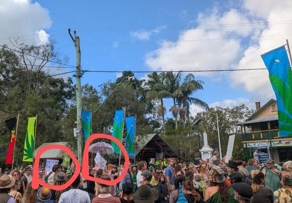 A large parade fills the street, there are many flags and placards. I have ringed 2 placards in red