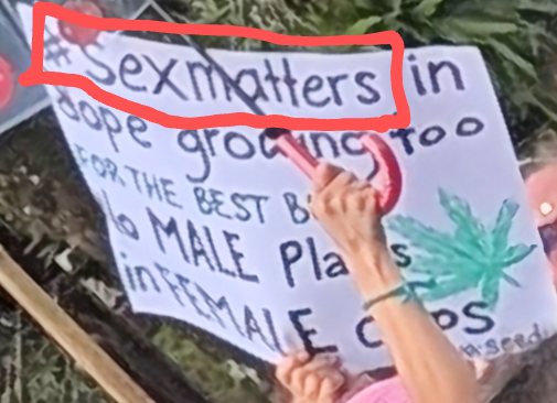 A close-up of the second placard. It has the #sexmatters at the top and then the words "in dope growing too for the best buds no male plants in female crops. 
The words "buds", "plants" and "crops" are partly obscured by an arm in the crowd.