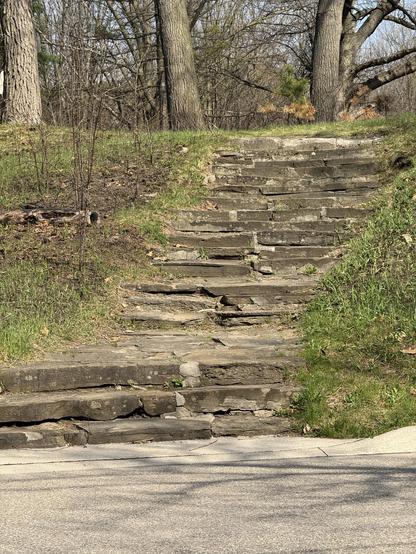 An old concrete stairway up the side of a cheerful grassy hill in High Park. The steps are slightly uneven, occasionally cracked down the middle, and lightly covered in dirt and a few old leaves from last autumn.

If you follow this path up the hill, you will see the Black Oak restaurant in the centre of this large park where you can buy simple but tasty meals and snacks like hamburgers, fries, ice cream cones, slices of pie, coffee, fish and chips, and more. It’s always a busy place. 

The trees growing near the path appear to be Maple trees for the most part. They have just begun to show their first tiny green leaves of the year. 

