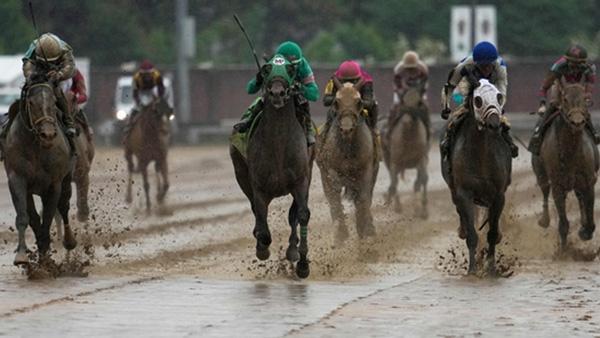 Sovereignty Wins 2025 Kentucky Derby in Thrilling Upset