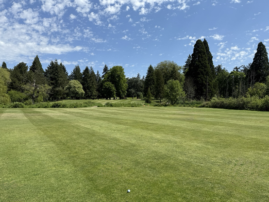 A good drive from the tee box results in the golf ball landing in an ideal position on an L-shaped golf hole. 
